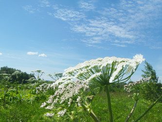 Similar image 21244811