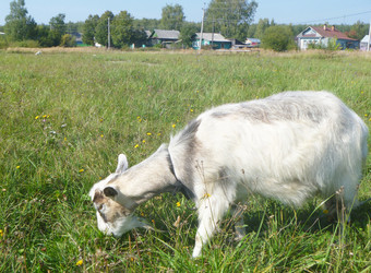 Similar image 21244812