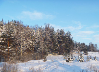 Similar image 21252023