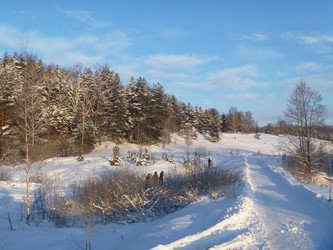 Similar image 21252024