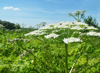 Similar image 21252032