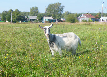 Similar image 21252036