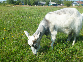 Similar image 21252037