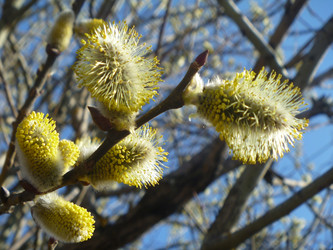 Similar image 21252042