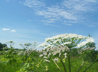 Similar image 21252044