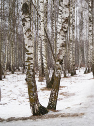 Similar image 21252045