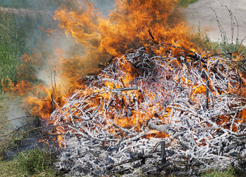 Similar image 21252047