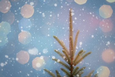 Similar image 21223270