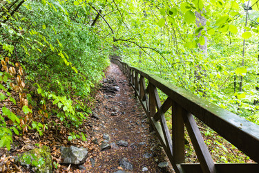 Similar image 21226652