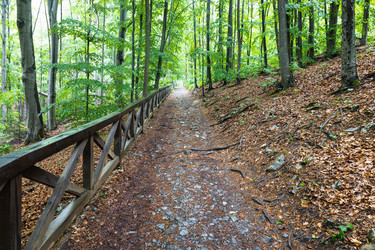 Similar image 21226653