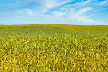 Similar image 21226658