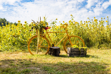 Similar image 21226668