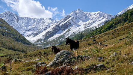 Similar image 21228890