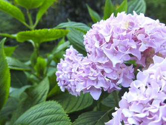 Similar image 21223592