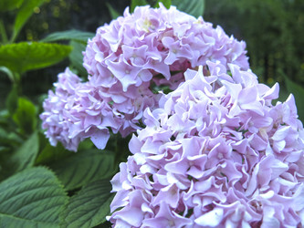 Similar image 21223593