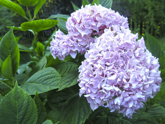 Similar image 21223594