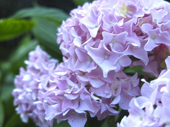 Similar image 21223595