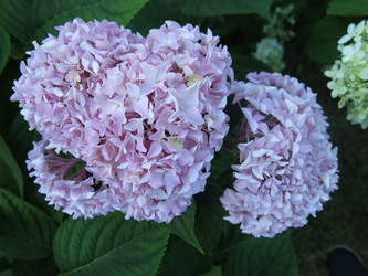 Similar image 21223596