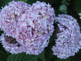 Similar image 21223597