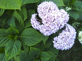 Similar image 21223598