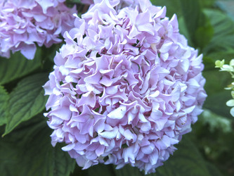 Similar image 21223599