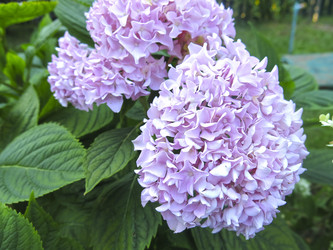 Similar image 21223601