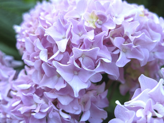 Similar image 21223602