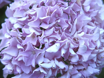 Similar image 21223603