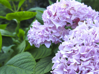 Similar image 21223604