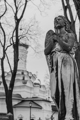 Similar image 21229799