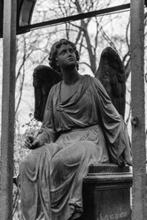 Similar image 21229801