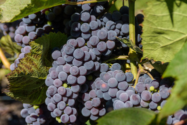 Similar image 21257266