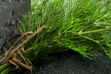 Similar image 21257268