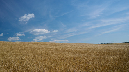 Similar image 21254448