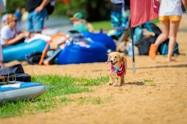 Similar image 21224354