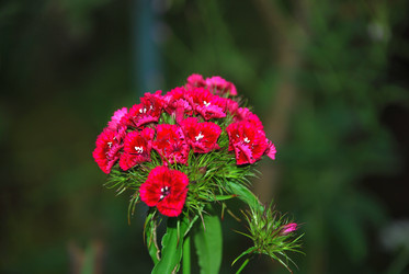 Similar image 21224932