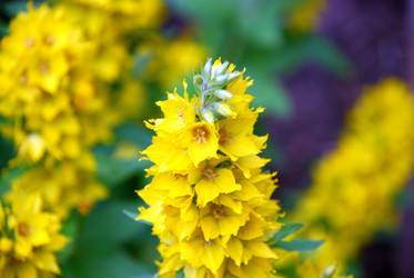 Similar image 21224933