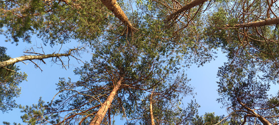 Similar image 21224934