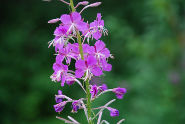 Similar image 21224935