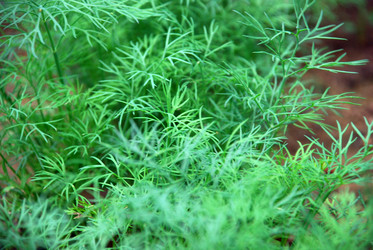 Similar image 21224937