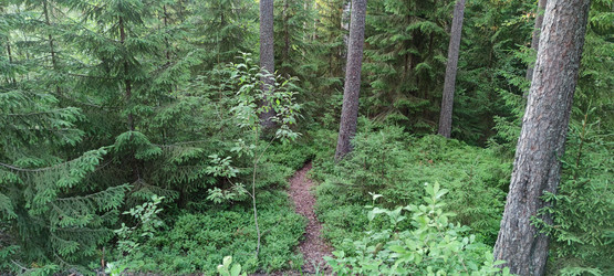 Similar image 21224938