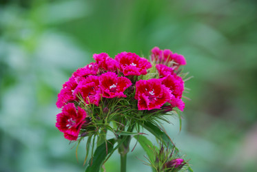 Similar image 21224940