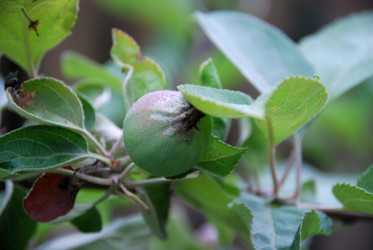 Similar image 21225570