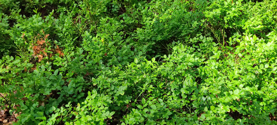 Similar image 21225571