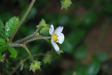 Similar image 21225573