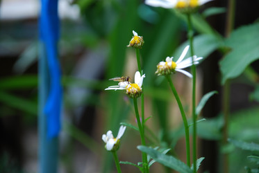 Similar image 21225574