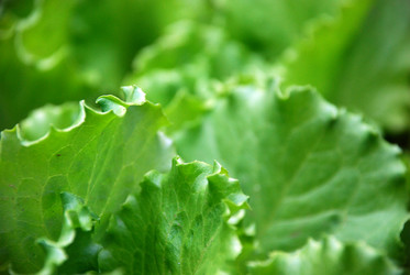 Similar image 21225575