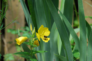 Similar image 21225576