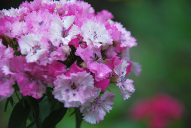 Similar image 21225579