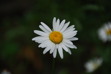 Similar image 21225581